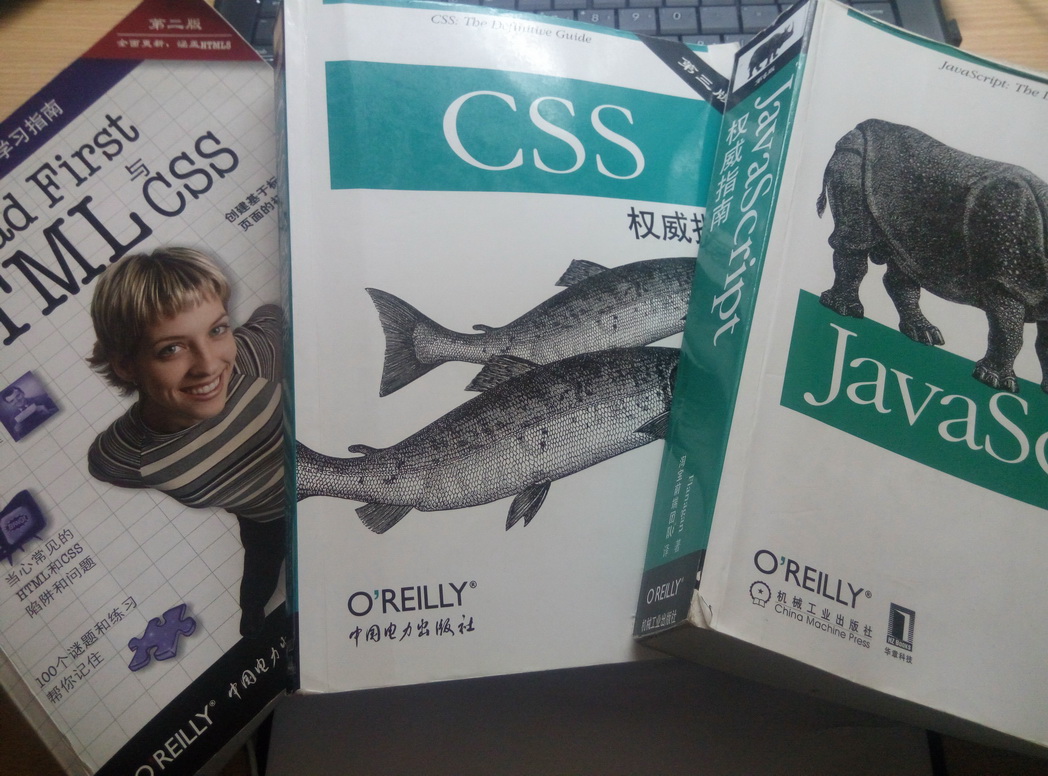 o'reilly